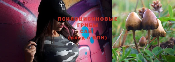 стафф Горняк