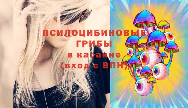 а пвп мука Горно-Алтайск
