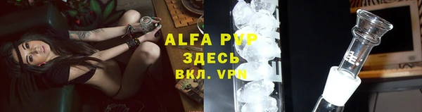 молекула духа Гусев