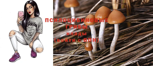 соль курить ск Горнозаводск