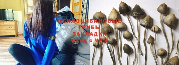 Альфа ПВП Гусиноозёрск