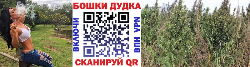 Шишки марихуана AK-47 Новохопёрск